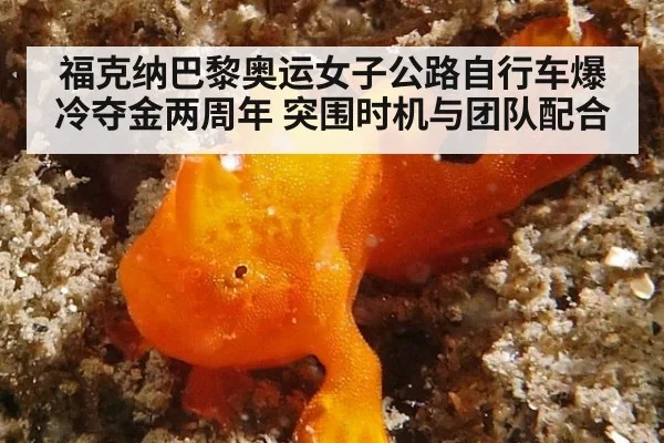 福克纳巴黎奥运女子公路自行车爆冷夺金两周年 突围时机与团队配合